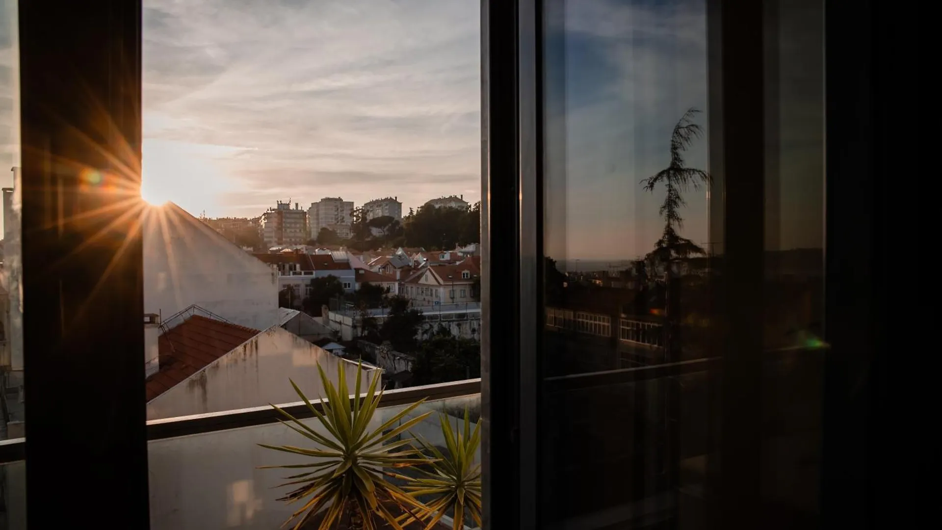 Premium Flat At Ajuda/Belem With Balcony, Parking! Lejlighed Lisboa Portugal